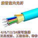 丽图斯光缆，铠装光纤跳线MPO，康普网线天津总代理