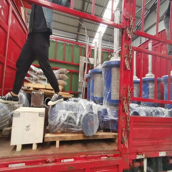 柏嘉潤化工不銹鋼材質(zhì)槳式攪拌器支持非標(biāo)定制