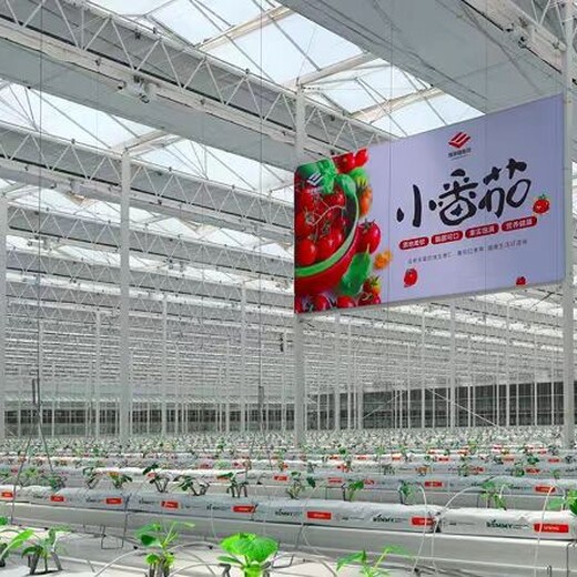 衢州花卉生态温室大棚施工建造