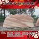 晚霞紅報(bào)價(jià)及圖片圖
