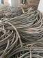 舟山電線電纜回收什么價格圖片