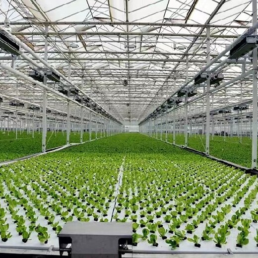 云浮花卉生态温室大棚实体工厂