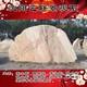 沈陽室內晚霞紅便宜晚霞紅費用產品圖
