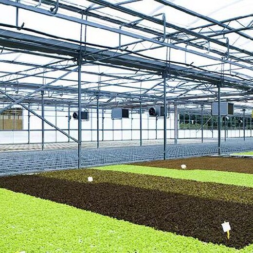 阳光板生态温室大棚设计规划