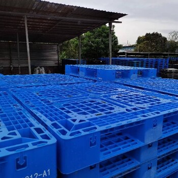 东莞望牛墩塑料托盘厂家,塑料卡板长期供应
