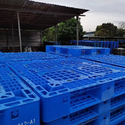 台山市塑胶卡板回收,胶栈板供应商