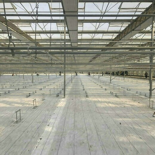 河南PE防草布,白色PE地布