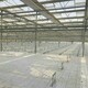 果園PET防草布，80g+90g+100克白色防草地布，寧夏原理圖