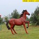 玻璃鋼仿真動(dòng)物雕塑圖