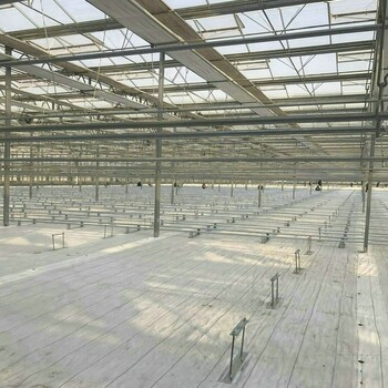 安徽100克白色地布柑橘園