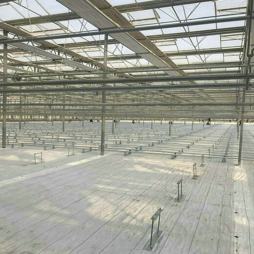 PE,PE防草布80克,90克,100克白色PE地布,浙江