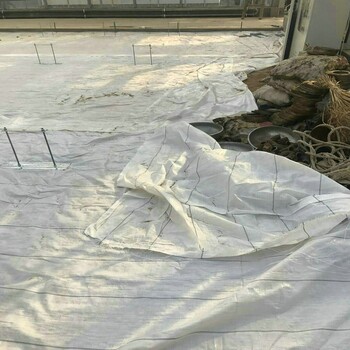 江蘇白色防草地布