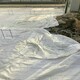 山東白色編織布防草布廠家，白編織布批發(fā)樣例圖