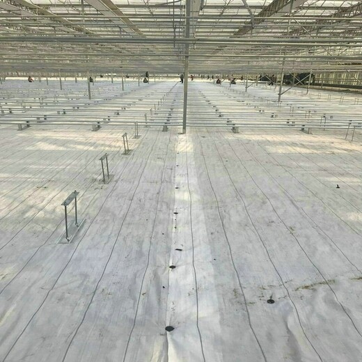80克白色塑編布，隆子縣110克白色編織布