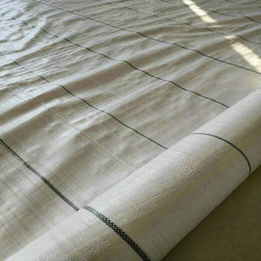 PE盖草布，80g+90g+100克白色防草地布，贵州