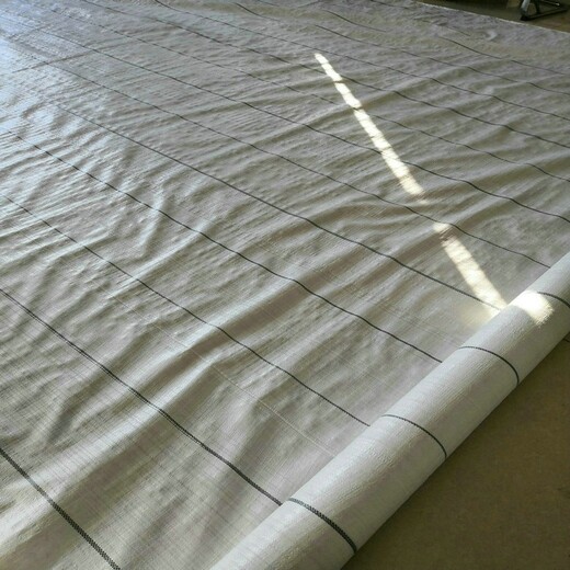 新疆白色PE地布，透水地布價(jià)格，指導施工