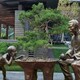 雕塑制作圖