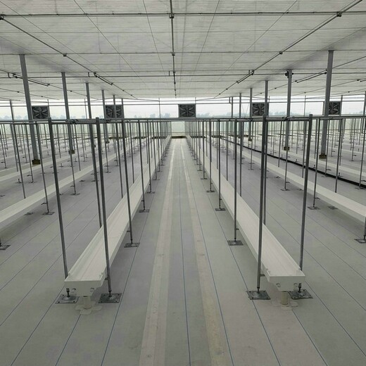 山西90克白色PE塑編布，溫室大棚