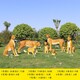 公園小動物雕塑圖