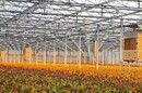泸州玻璃温室大棚施工建造