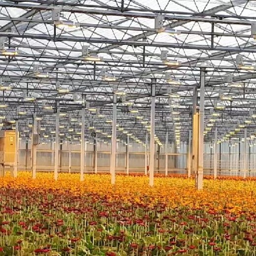杭州无土栽培荷兰温室大棚规划建造