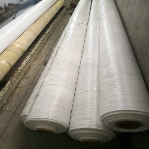 80克白色蓋草布，日喀則市100克白色PP地布