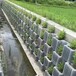 湖南怀化河道生态挡土墙1500系列价格自嵌式植生挡土块