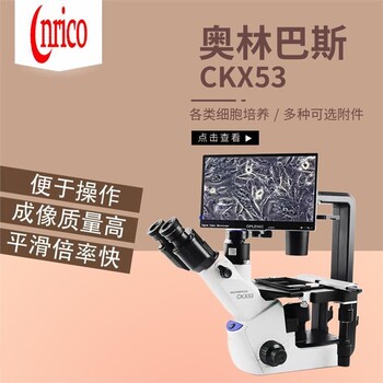 奥林巴斯CKX53荧光生物进口显微镜宁夏倒置荧光显微镜全国免邮