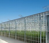 一道农业荷兰温室大棚设计规划