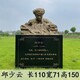英模人物雕像定制圖