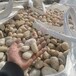 葫芦岛国产天然鹅卵石园林鹅卵石彩色砾石