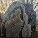 園林石鵝卵石圖