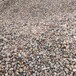 长春天然鹅卵石园林鹅卵石彩色砾石