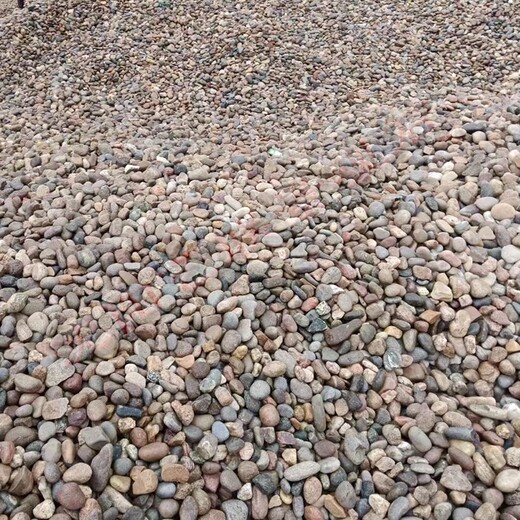 新民市天然鹅卵石园林鹅卵石彩色砾石