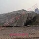室內(nèi)景觀石圖