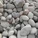 四平生产天然鹅卵石园林鹅卵石彩色砾石