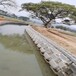 广西百色河道生态挡土墙1200系列厂家，自嵌式植生挡土块