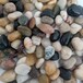 松原国产天然鹅卵石园林鹅卵石彩色砾石米石