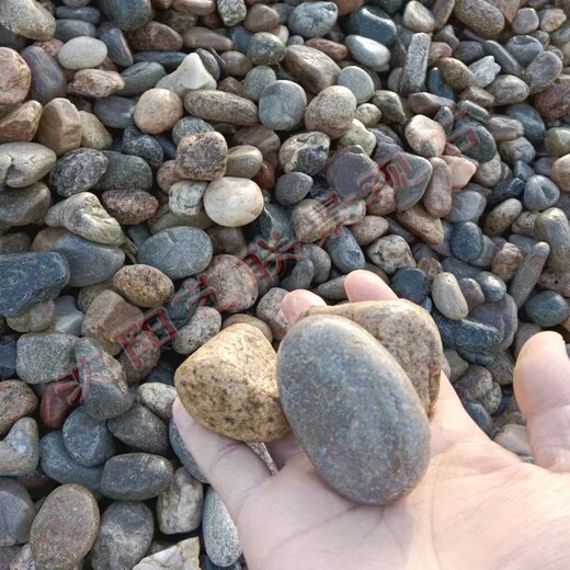 葫芦岛大型天然鹅卵石园林鹅卵石彩色砾石水洗石