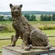 動物石雕廠家供應圖