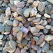 法库县客厅天然鹅卵石园林鹅卵石彩色砾石水磨石
