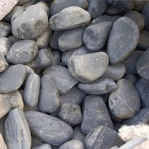 哈尔滨大型天然鹅卵石园林鹅卵石彩色砾石水洗石