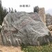 阿拉善盟園林石晚霞紅