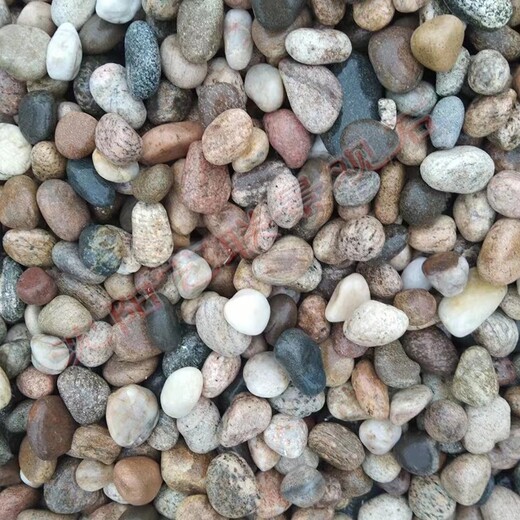 皇姑区制作天然鹅卵石园林鹅卵石彩色砾石五彩石