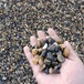 绥化生产天然鹅卵石园林鹅卵石彩色砾石