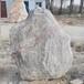 阿拉善盟園林石