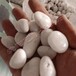 康平县供应天然鹅卵石园林鹅卵石彩色砾石米石