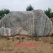 阿拉善盟景觀(guān)石園林石溪流石