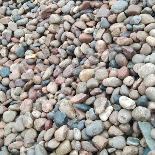 锦州室内天然鹅卵石园林鹅卵石彩色砾石