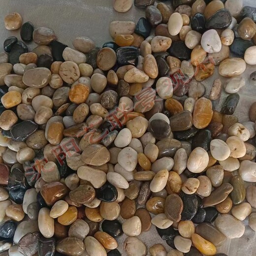 制作天然鹅卵石园林鹅卵石彩色砾石